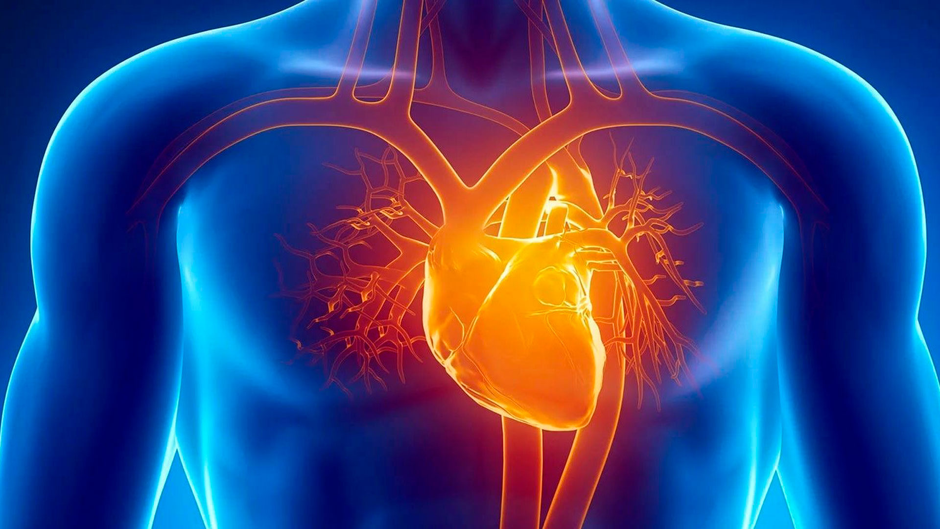 La glicemia instabile aumenta il rischio cardiovascolare